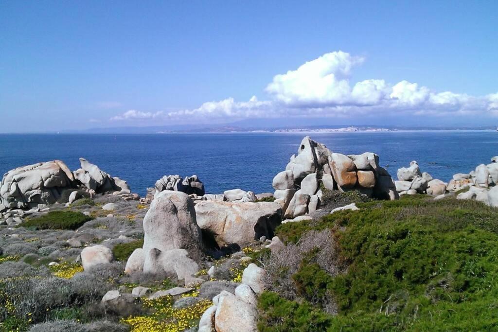 Una Splendida Terrazza Sul Mare 圣特雷莎加卢拉 外观 照片